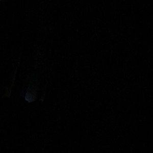 Meet your Posher, Bryan